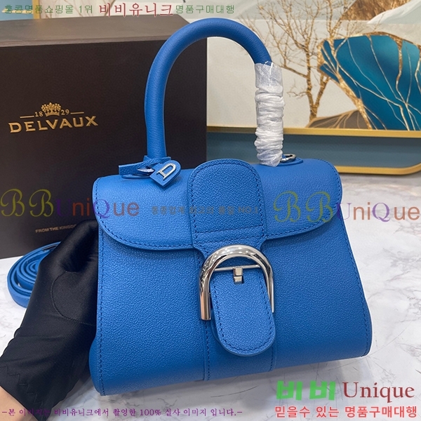 #���� �긮�ӹ� �̴� DV0020-1