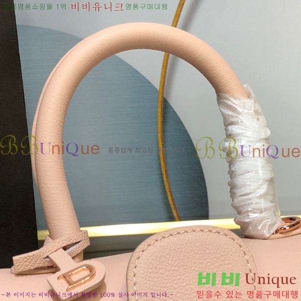 #���� �긮�ӹ� �̴� DV0020-2