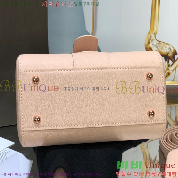 #���� �긮�ӹ� �̴� DV0020-2