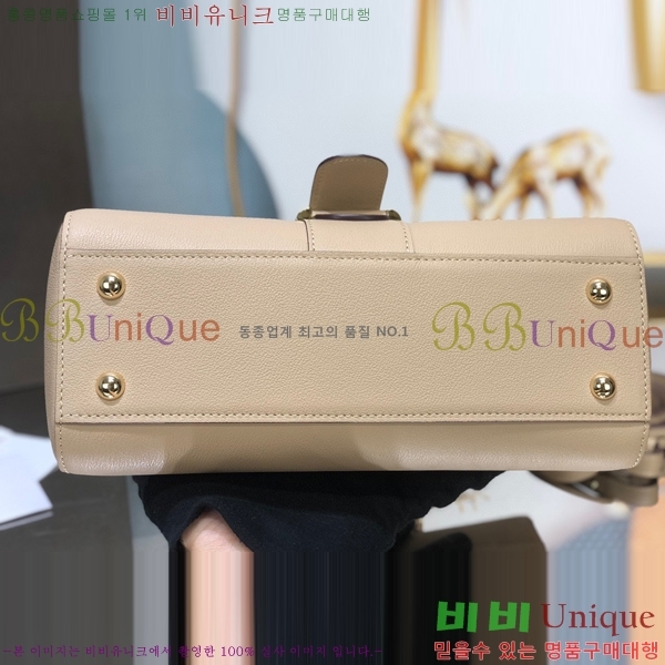 #���� �긮�ӹ� DS0028-6