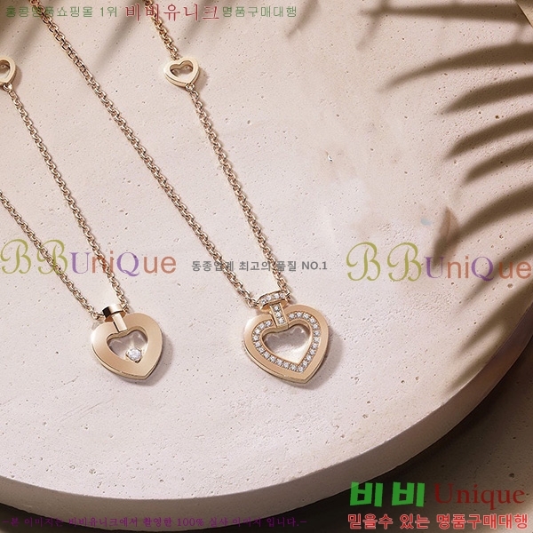 ������ ����� FR31029