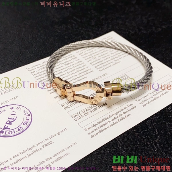 ������ ���� FR31077-1 ������ (�����̰� ȿ�� ����)