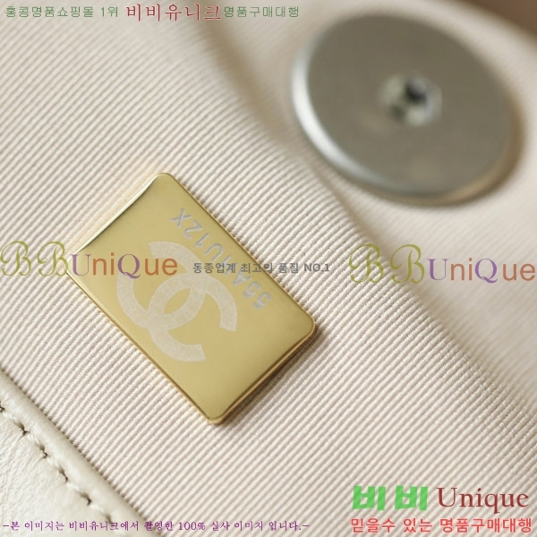 #���� 19 �÷��� AS1161-9700-2