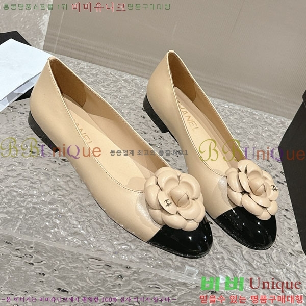 ���� �÷� ���� C240039-3