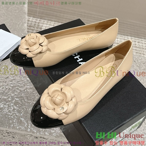 ���� �÷� ���� C240039-3