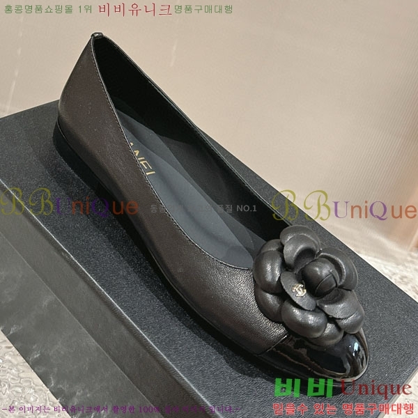 ���� �÷� ���� C240039-2