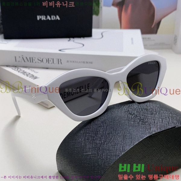 ����� ���۶� P2819066-1