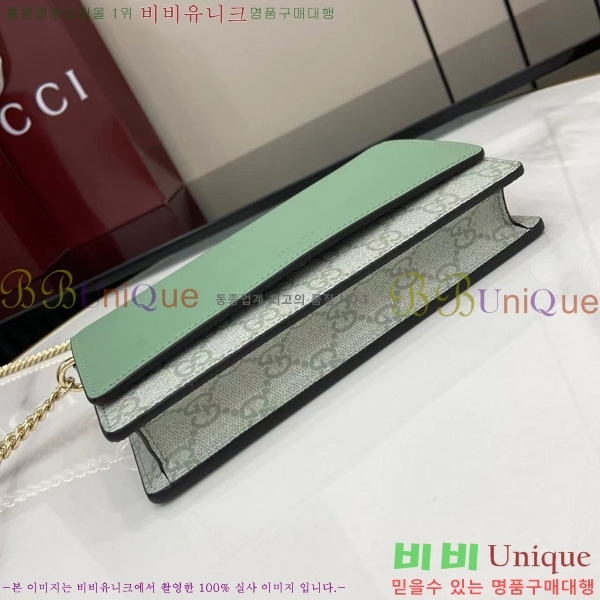 #���� GG ������ ü�� ���� ‎826720-102