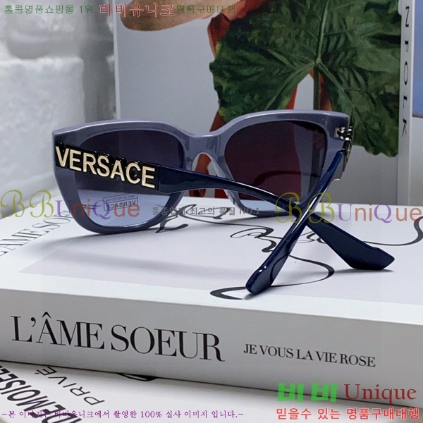 ������ü ���۶� VE102295-1