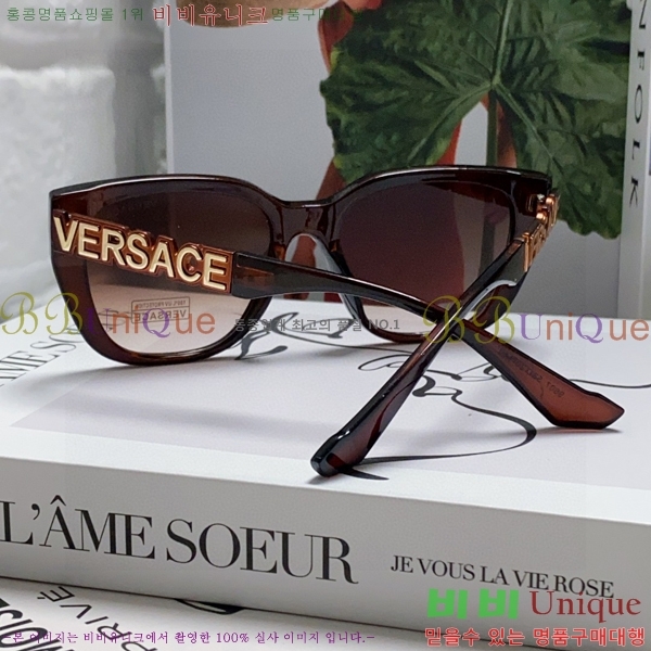 ������ü ���۶� VE102295-5