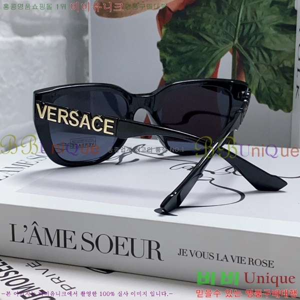 ������ü ���۶� VE102295-6