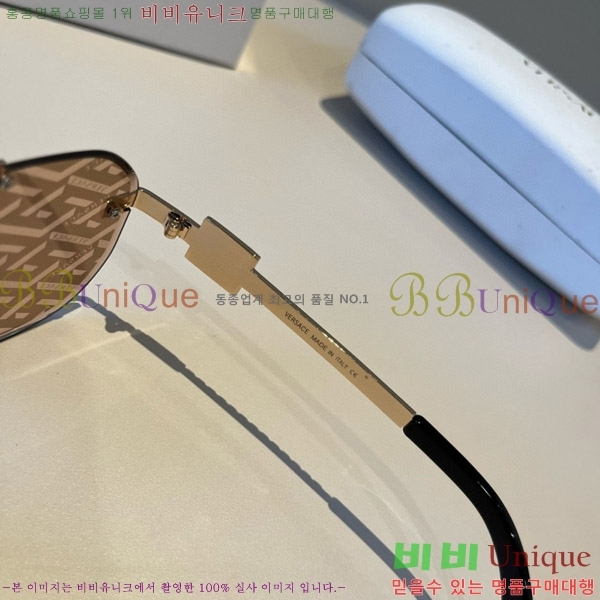 ������ü ���۶� VE102298-1