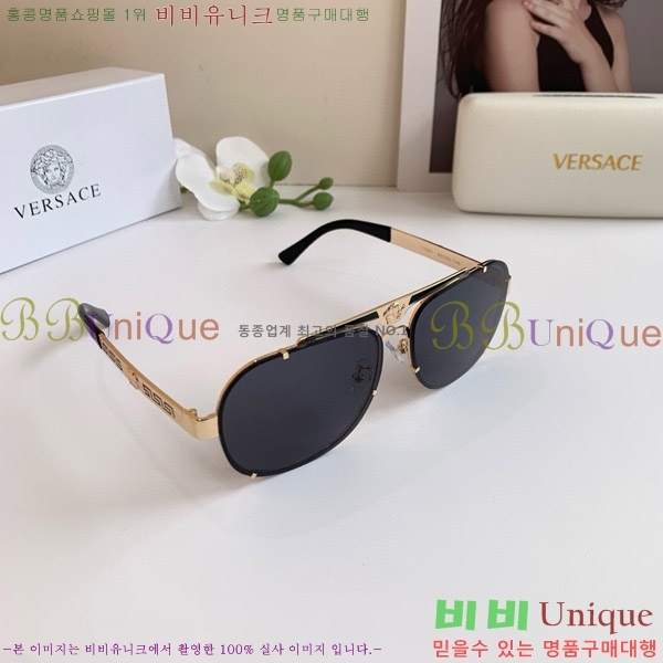 ������ü ���۶� VE102297-2