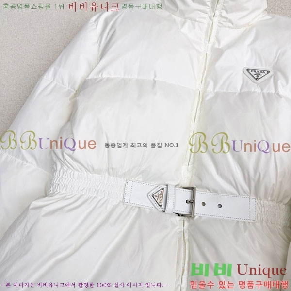 ���� ����� �ٿ� �е� PA1345088-1