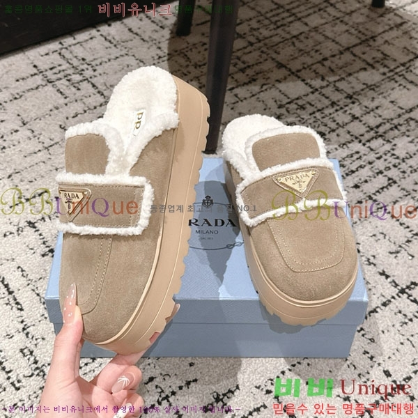 ���� ����� �� ������ P5560221-1