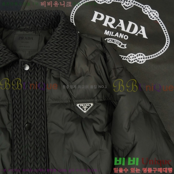 ���� ����� �ٿ� �е� PA243785