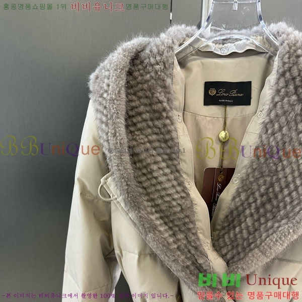 ���� �η�**�� �ٿ� �е� LP33345086-21