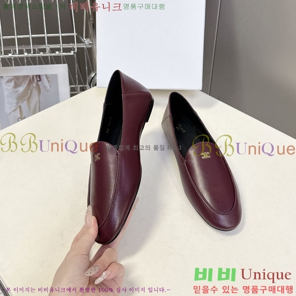 ������ Ŭ���� ����  CE256089-2