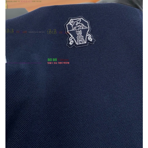 ���� ���ڷ� ��ġ�ڸ� ī�� ����Ƽ BC79815-1