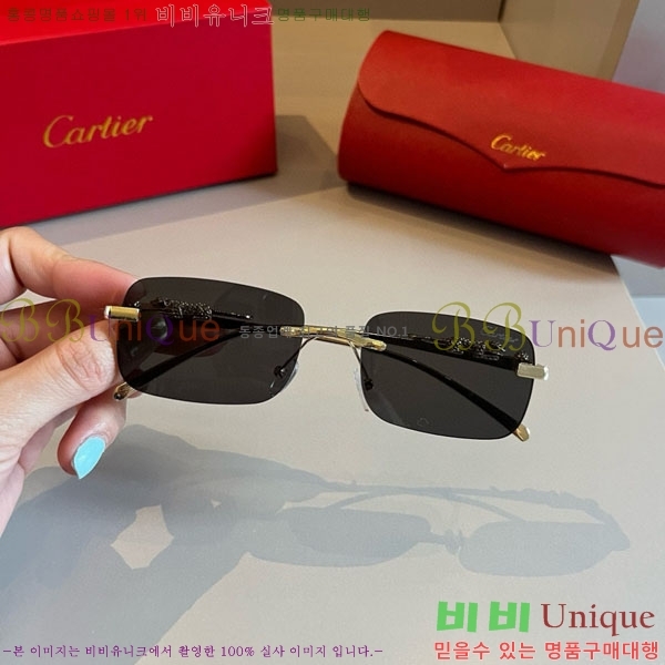 �*�� ���۶� CA497435-1