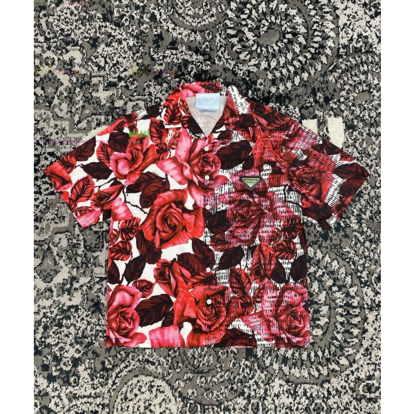 ���� ����� ���� ���� P8765038