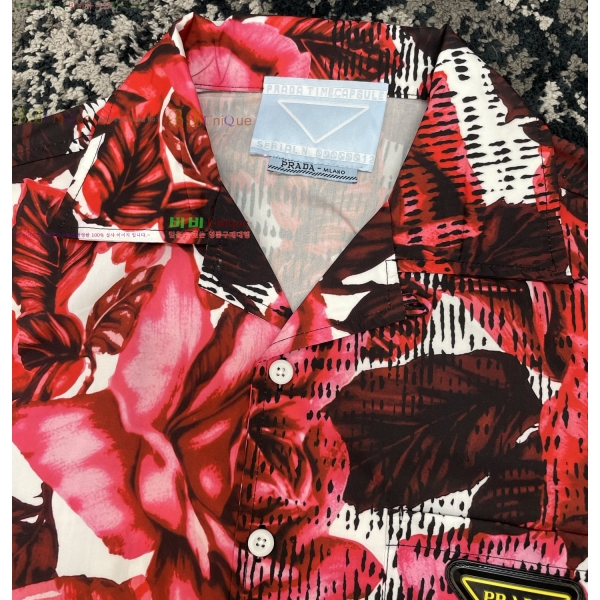 ���� ����� ���� ���� P8765038